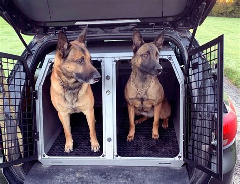 transk9|Dog car cages, crates and transit boxes for cars & vans 